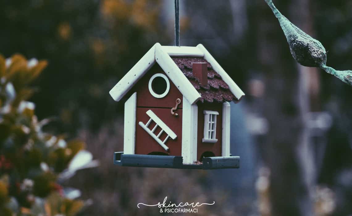 tiny house for bird