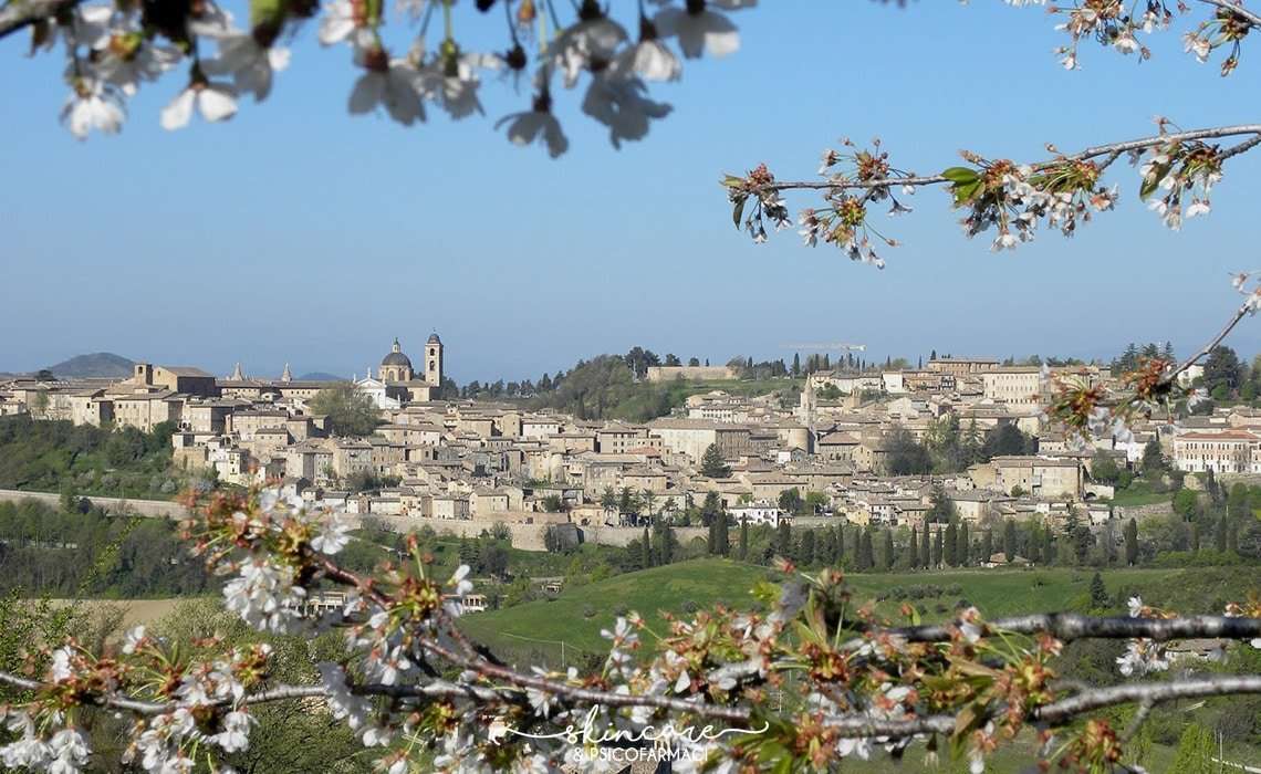 Marche